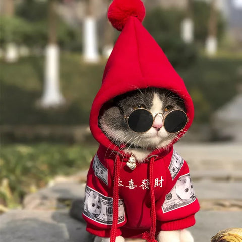 Pet Cat Dog Clothing Pure Cotton Plus Fleece Sweater