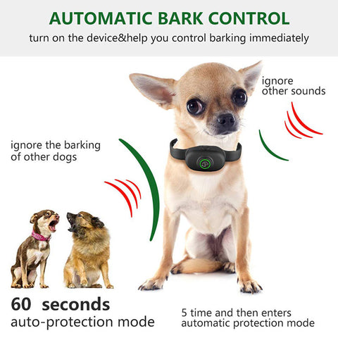 Remote Electronic Remote Control Training Dog Equipment