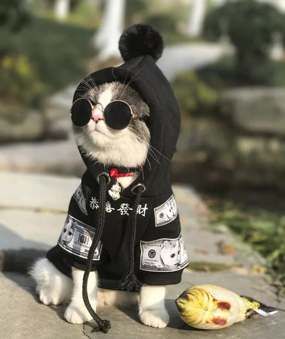 Pet Cat Dog Clothing Pure Cotton Plus Fleece Sweater