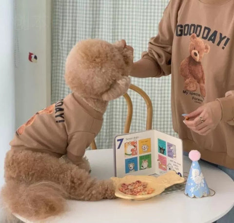 Winter Teddy Bear Cat Dog Pet Clothing